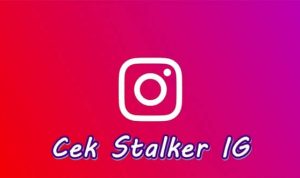 stalking instagram