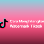 Cara Menghapus Watermark TikTok