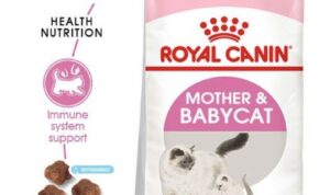 Cara Menyimpan Royal Canin Mother And Baby Cat Kering dan Basah