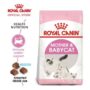 Cara Menyimpan Royal Canin Mother And Baby Cat Kering dan Basah