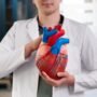 Mengenal Deteksi Kelainan Jantung dengan Echocardiography