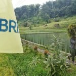BRI Raih 2 Penghargaan Internasional The Asset Triple A Berkat Konsistensi dalam Prinsip ESG