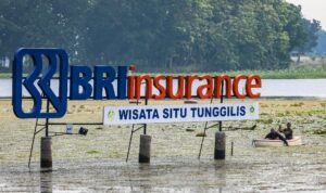 BRI Insurance Catat Laba Tertinggi