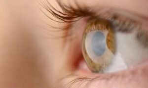 Retina untuk Biometrik