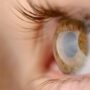 Retina untuk Biometrik