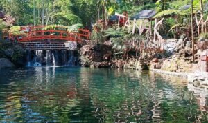 Menuju Air Terjun Umbulan Tanaka
