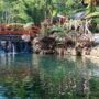 Menuju Air Terjun Umbulan Tanaka