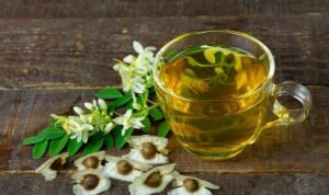Manfaat Minum Daun Kelor Setiap Hari
