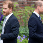 Pangeran Harry Ingin Berdamai dengan Keluarga