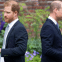 Pangeran Harry Ingin Berdamai dengan Keluarga
