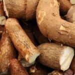 Singkong Manfaat dan Risiko Konsumsinya