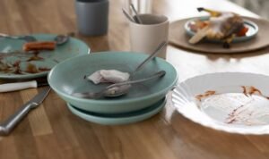 Kenapa Lalat Sering Mampir ke Meja Makan? Ini Penjelasannya