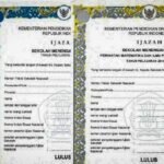 Cara Cek Ijazah Online di PDDikti