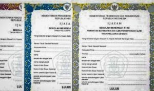 Cara Cek Ijazah Online di PDDikti