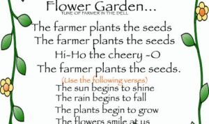 Flower Garden Hits: Ledakan Warna dan Aroma yang Menyegarkan Jiwa