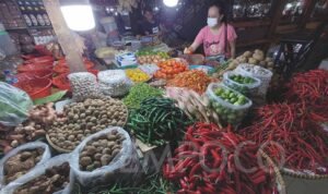 Harga Komoditas Berfluktuasi: Apa yang Terjadi dan Bagaimana Ini Mempengaruhi Anda?