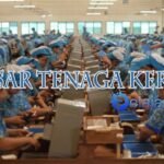 Pasar Tenaga Kerja Indonesia: Antara Peluang dan Tantangan di Era Digital