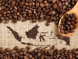 Kopi Indonesia: Aroma yang Mendunia dan Tantangan di Baliknya