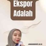 Kebijakan Ekspor Nasional: Mendorong Pertumbuhan Ekonomi dan Daya Saing Bangsa