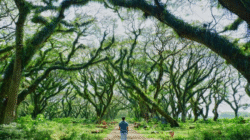 Empat Destinasi Liburan Banyuwangi yang Wajib Dikunjungi