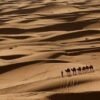 Pesona Keindahan Padang Pasir Sahara Yang Sangat Luas Dan Menakjubkan Di Maroko