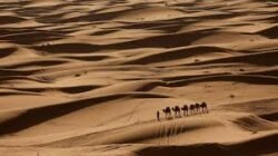 Pesona Keindahan Padang Pasir Sahara Yang Sangat Luas Dan Menakjubkan Di Maroko