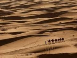 Pesona Keindahan Padang Pasir Sahara Yang Sangat Luas Dan Menakjubkan Di Maroko